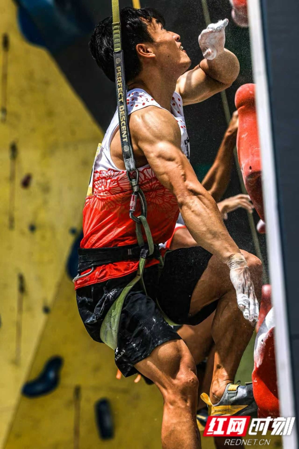 训练学到了 训练学到了